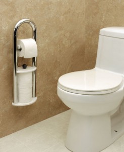 Invisia Collection Toilet Roll Holder